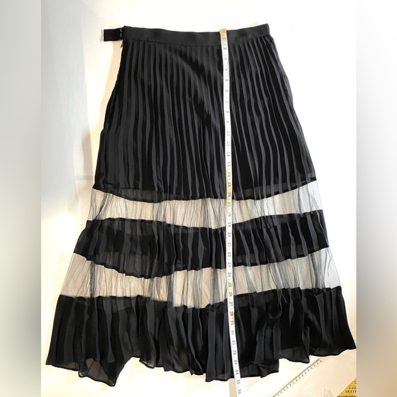 EUC & Other Stories Pleated See-through Midi Skirt - Picture 7 of 14